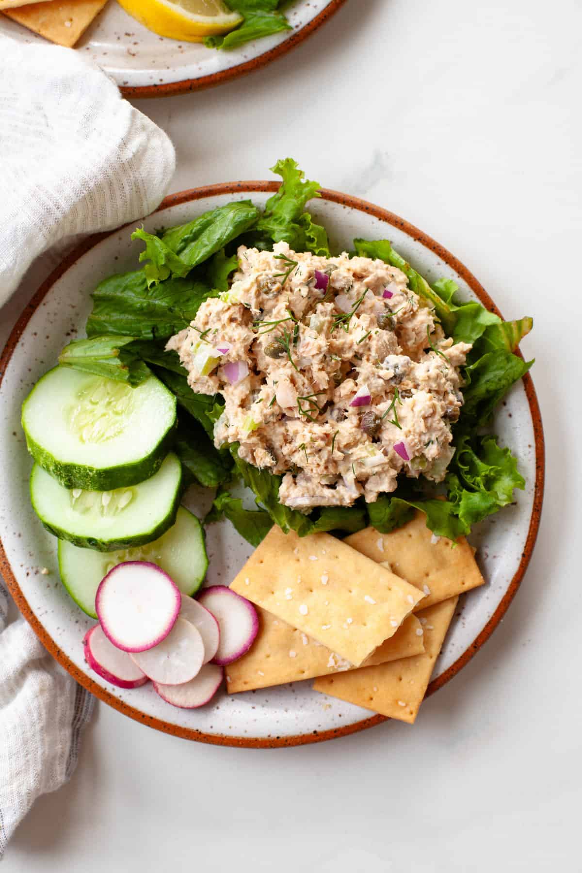 canned salmon salad on a bed of lettuce with cucumbers, radishes, and crackers on speckled plate