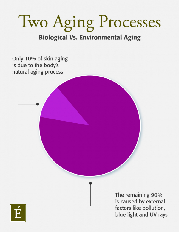 Biological aging